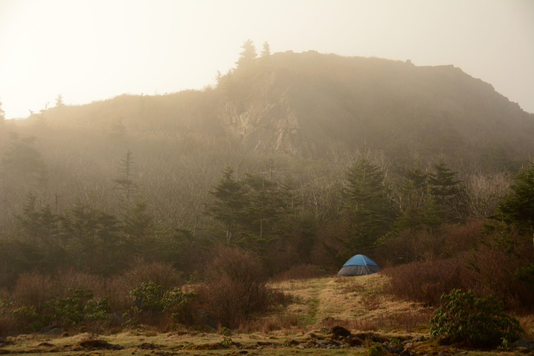 Mount Rogers National Recreation Area